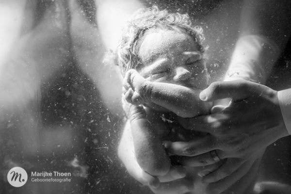 2016 International Association of Professional Birth Photographers - Overall First Place Winner - 100 | Underwater birth, baby with gorgeous curly hair | Marijke Thoen Geboortefotografie